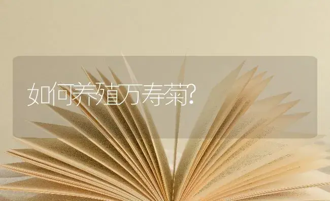 如何养殖万寿菊? | 特种种植