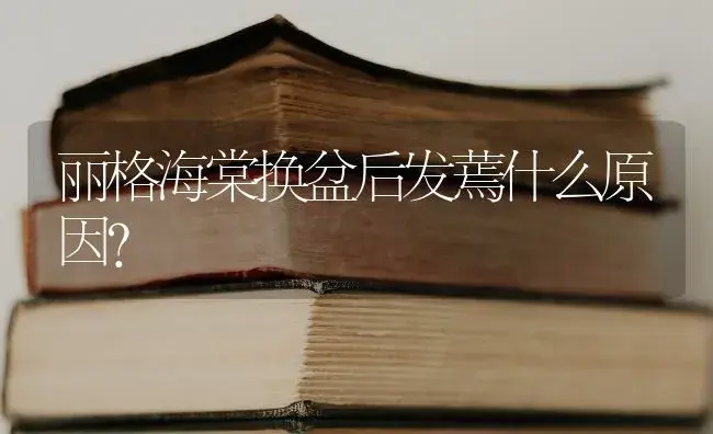 丽格海棠换盆后发蔫什么原因？ | 绿植常识