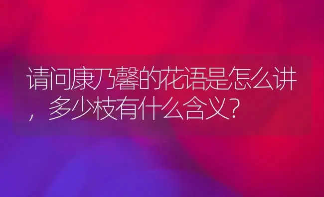 请问康乃馨的花语是怎么讲，多少枝有什么含义？ | 绿植常识