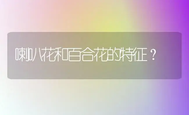 喇叭花和百合花的特征？ | 绿植常识