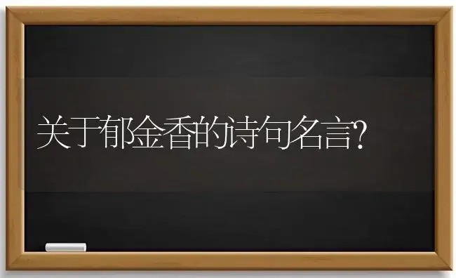 关于郁金香的诗句名言？ | 绿植常识