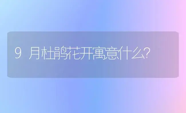 9月杜鹃花开寓意什么？ | 绿植常识