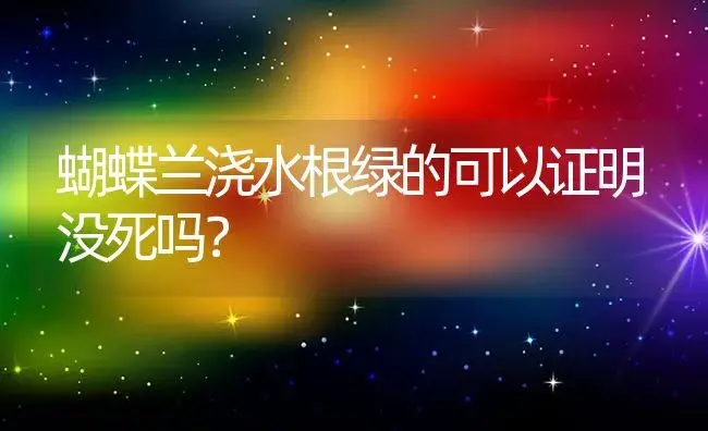 蝴蝶兰浇水根绿的可以证明没死吗？ | 绿植常识