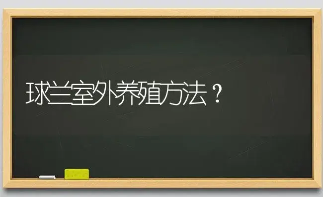 球兰室外养殖方法？ | 绿植常识