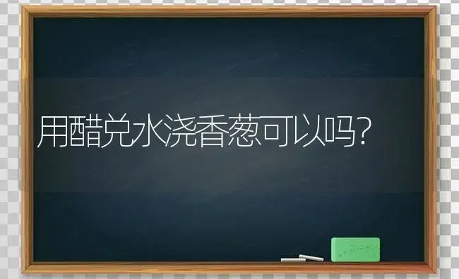 用醋兑水浇香葱可以吗？ | 绿植常识