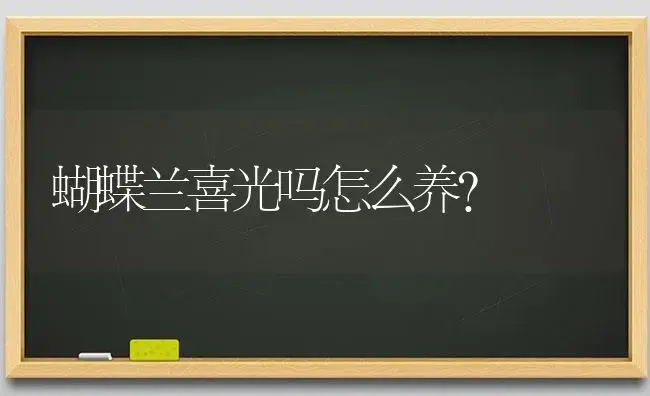 蝴蝶兰喜光吗怎么养？ | 绿植常识