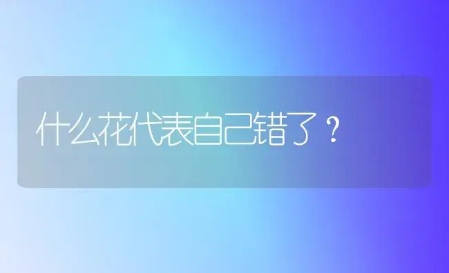 什么花代表自己错了？ | 绿植常识