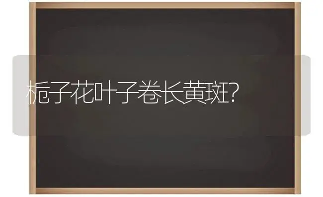 栀子花叶子卷长黄斑？ | 绿植常识