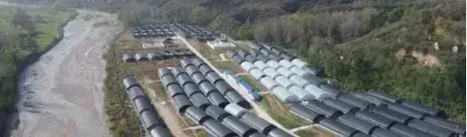 河南平舆县耀州区庙湾镇打造"香菇特色小镇"名片