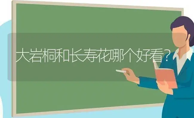 大岩桐和长寿花哪个好看？ | 多肉养殖
