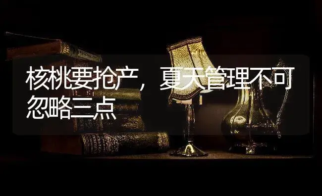 核桃要抢产，夏天管理不可忽略三点 | 果木种植