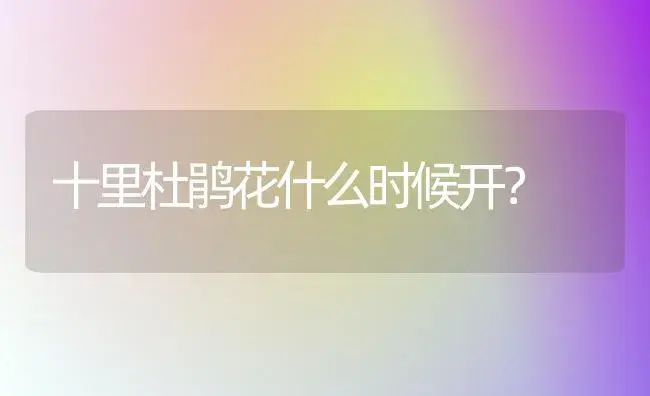 十里杜鹃花什么时候开？ | 绿植常识