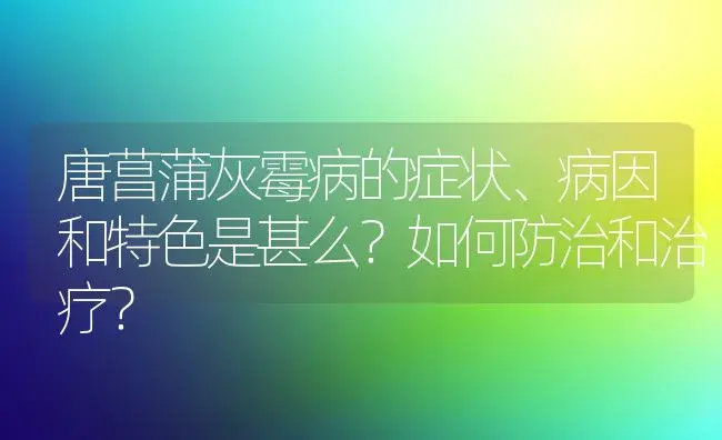 唐菖蒲灰霉病的症状、病因和特色是甚么？如何防治和治疗？ | 家庭养花