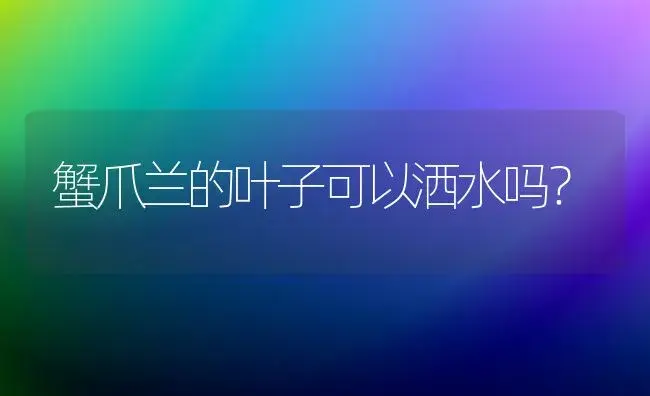 蟹爪兰的叶子可以洒水吗？ | 多肉养殖