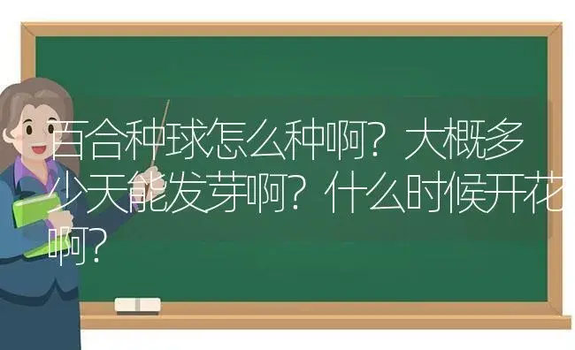 百合种球怎么种啊？大概多少天能发芽啊？什么时候开花啊？ | 绿植常识