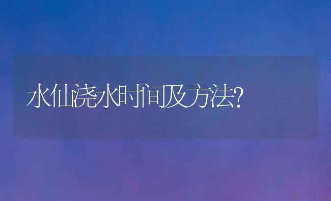 水仙浇水时间及方法？ | 绿植常识