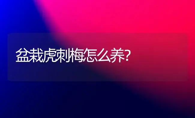 盆栽虎刺梅怎么养？ | 家庭养花