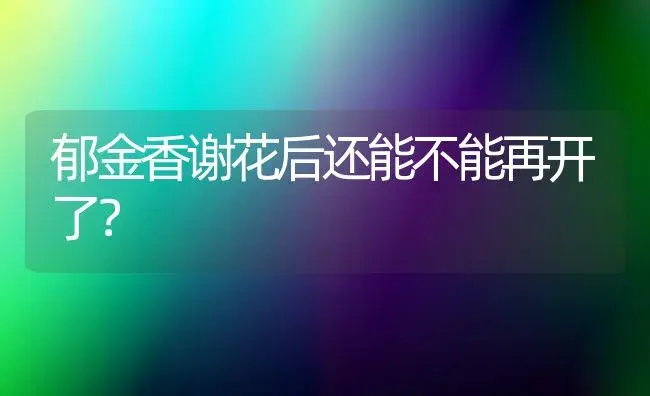 郁金香谢花后还能不能再开了？ | 绿植常识