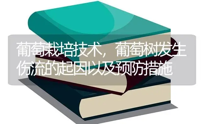 葡萄栽培技术，葡萄树发生伤流的起因以及预防措施 | 果木种植