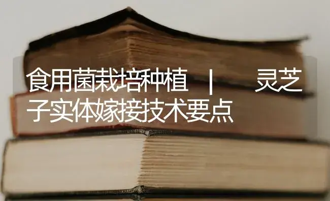 灵芝子实体嫁接技术要点 | 菌菇种植