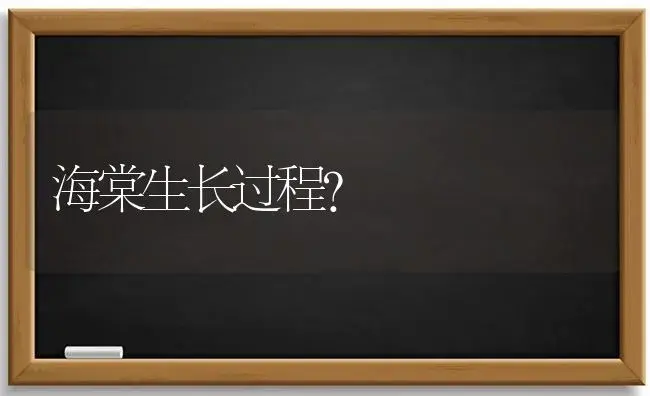 海棠生长过程？ | 绿植常识