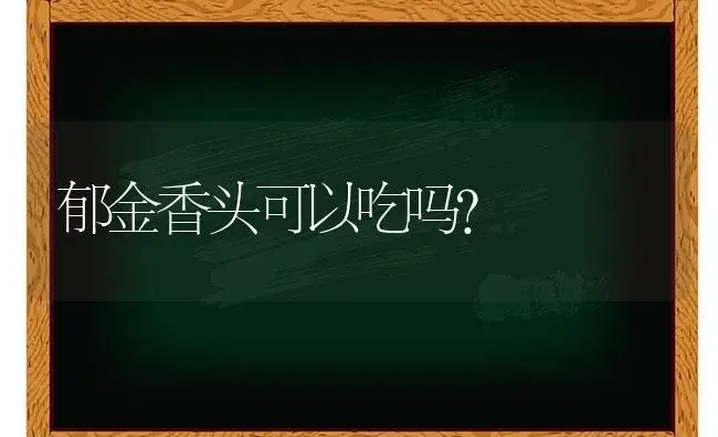 郁金香头可以吃吗？ | 绿植常识