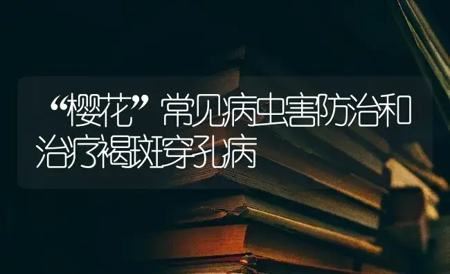 “樱花”常见病虫害防治和治疗褐斑穿孔病 | 特种种植