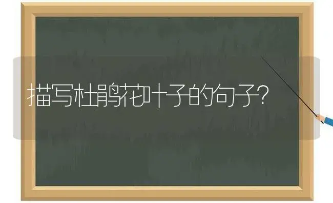 描写杜鹃花叶子的句子？ | 绿植常识