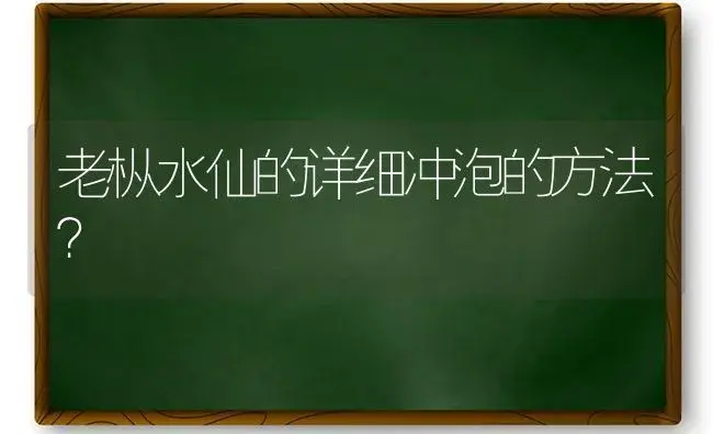 老枞水仙的详细冲泡的方法？ | 绿植常识