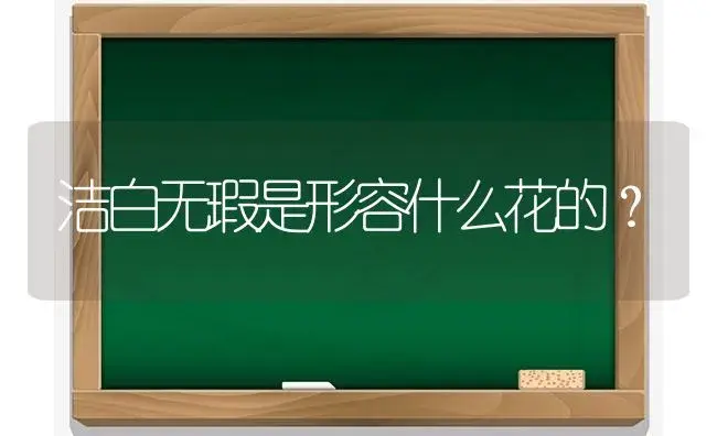 洁白无瑕是形容什么花的？ | 多肉养殖