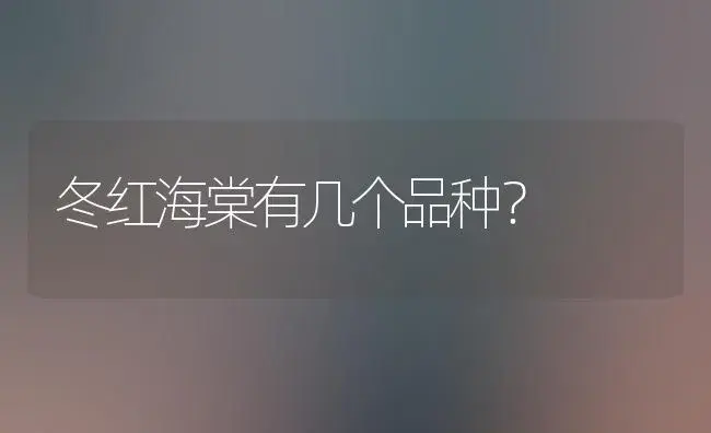 冬红海棠有几个品种？ | 绿植常识