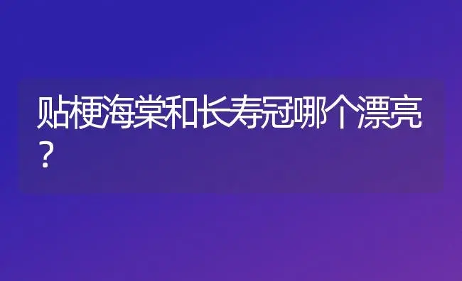 贴梗海棠和长寿冠哪个漂亮？ | 多肉养殖