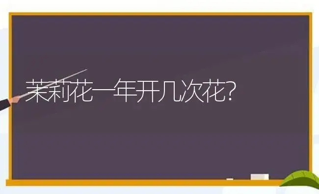 茉莉花一年开几次花？ | 绿植常识