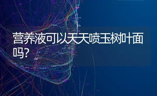 营养液可以天天喷玉树叶面吗？ | 多肉养殖