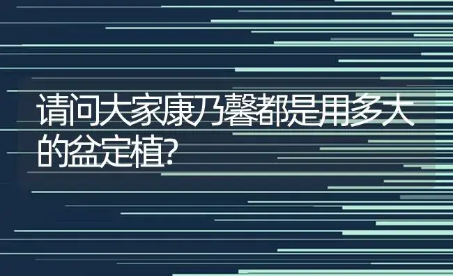 请问大家康乃馨都是用多大的盆定植？ | 绿植常识