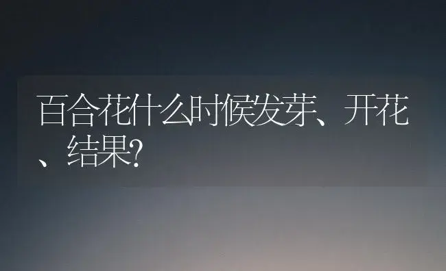 百合花什么时候发芽、开花、结果？ | 绿植常识