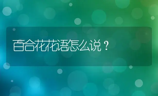 百合花花语怎么说？ | 绿植常识