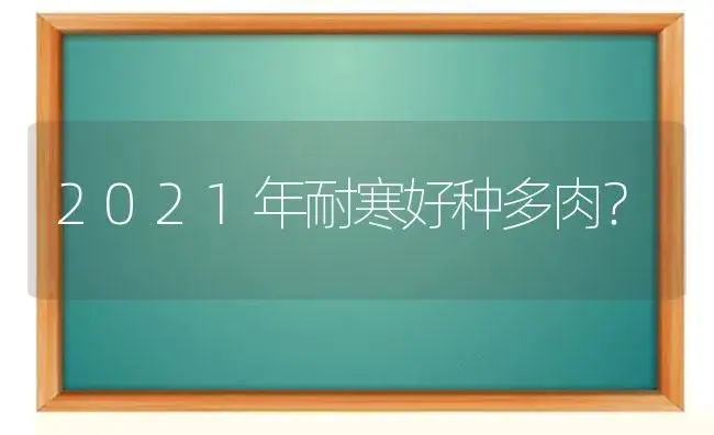 2021年耐寒好种多肉？ | 多肉养殖