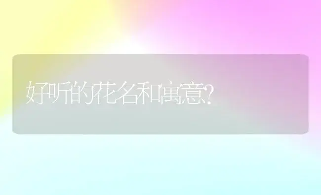 好听的花名和寓意？ | 绿植常识