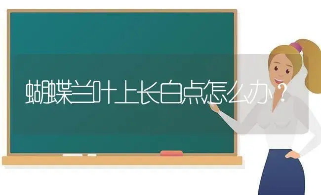 蝴蝶兰叶上长白点怎么办？ | 绿植常识