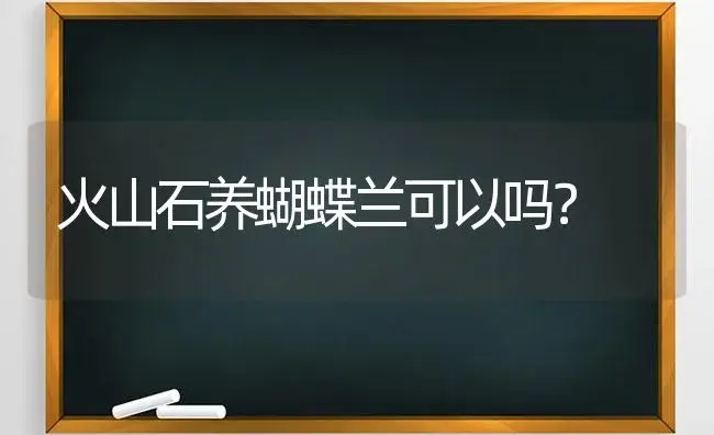 火山石养蝴蝶兰可以吗？ | 绿植常识