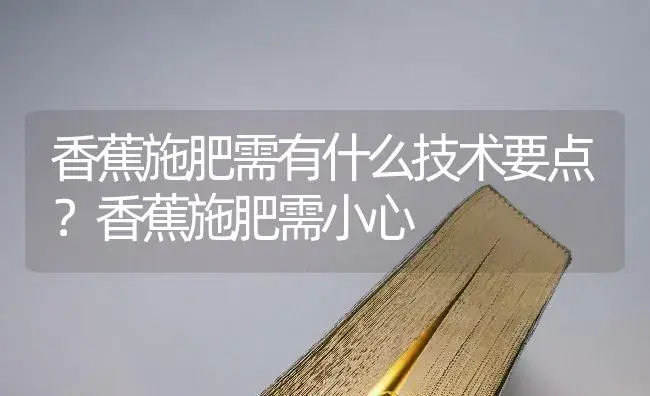 香蕉施肥需有什么技术要点？香蕉施肥需小心 | 果木种植