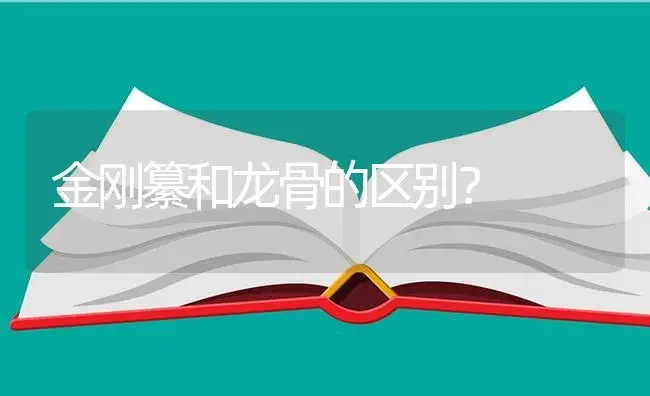 我的长寿花叶子边缘像锈了一样,发红,叶子变软了？ | 多肉养殖