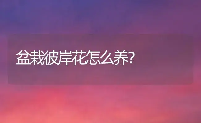 正人兰夹箭是甚么缘故原由、如何办? | 家庭养花