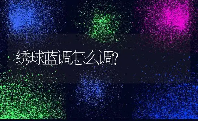 绣球蓝调怎么调？ | 绿植常识