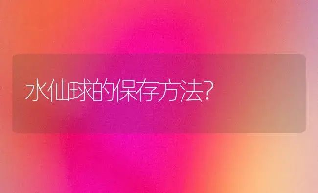 水仙球的保存方法？ | 绿植常识