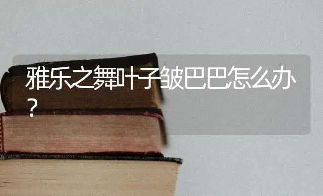 雅乐之舞叶子皱巴巴怎么办？ | 多肉养殖