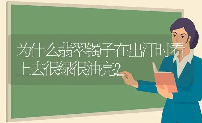 为什么翡翠镯子在出汗时看上去很绿很油亮？ | 多肉养殖