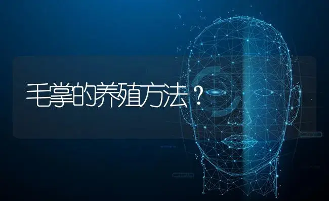 毛掌的养殖方法？ | 多肉养殖