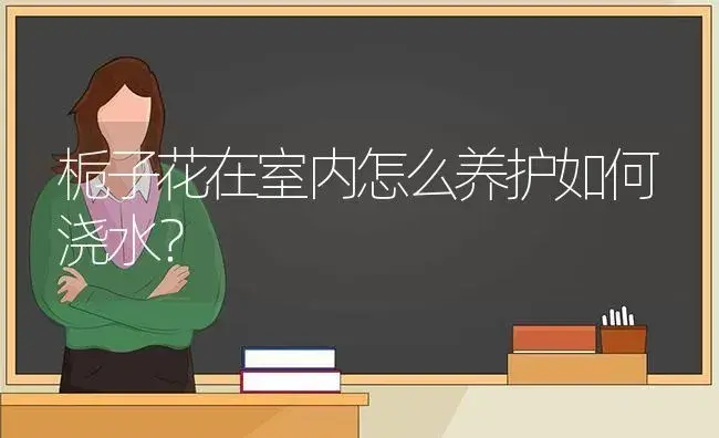 栀子花在室内怎么养护如何浇水？ | 绿植常识